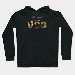 All I need is my dog - Australian shepherd collie oil painting word art Hoodie